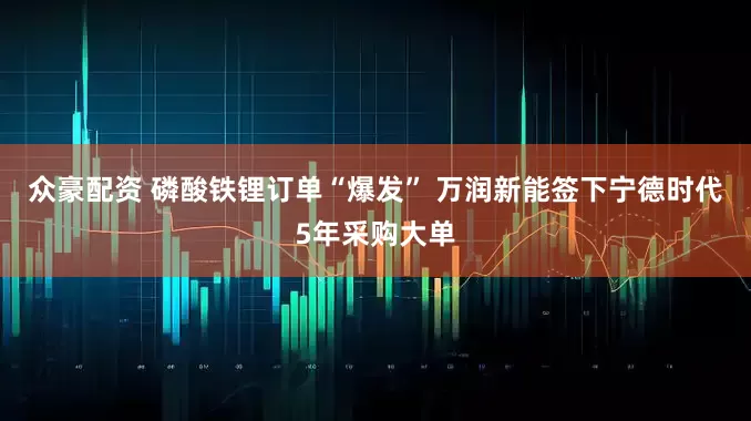 众豪配资 磷酸铁锂订单“爆发” 万润新能签下宁德时代5年采购大单