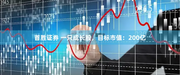 首胜证券 一只成长股，目标市值：200亿