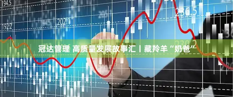 冠达管理 高质量发展故事汇丨藏羚羊“奶爸”